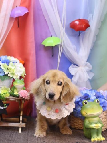 20230616バナナちゃん